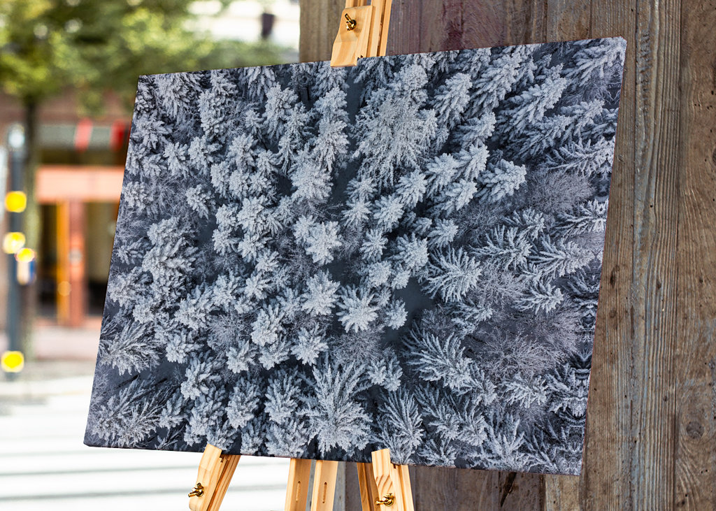 Winter im Schwarzwald