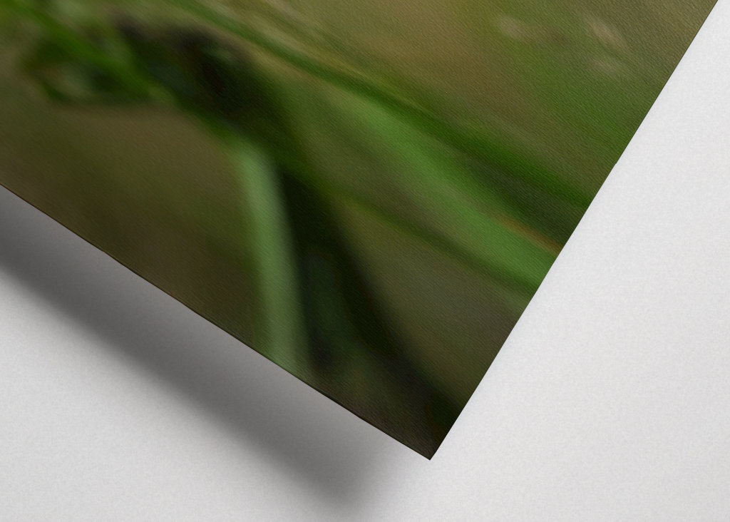 Malý bílý kvítek v trávě