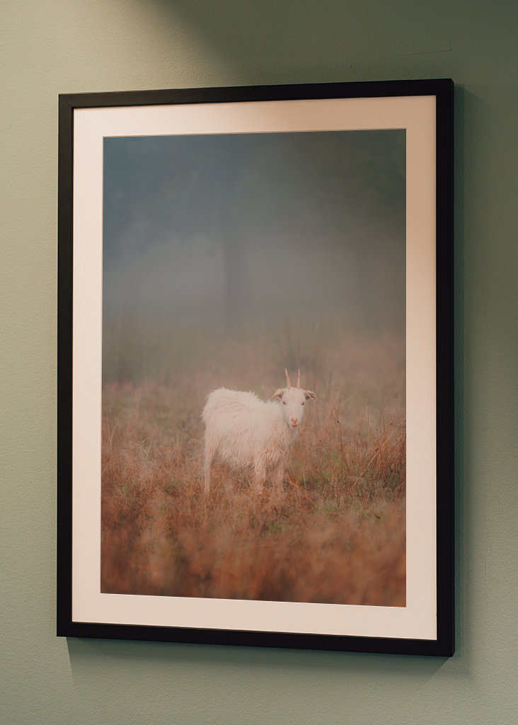 Curiosidad por el mundo