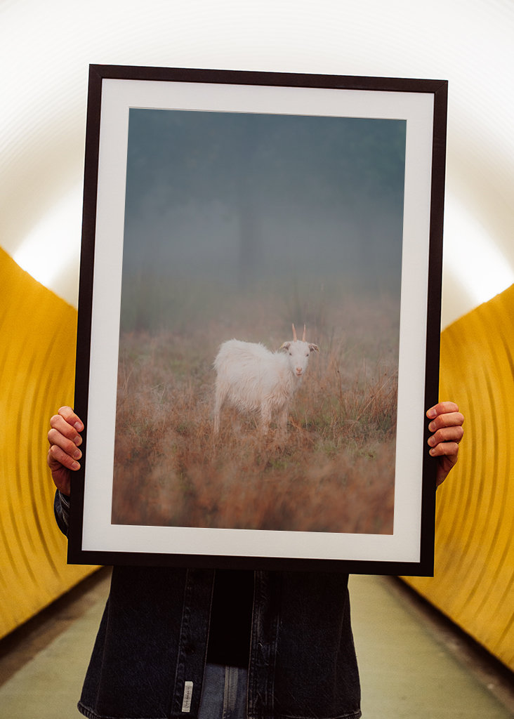 Curiosidad por el mundo