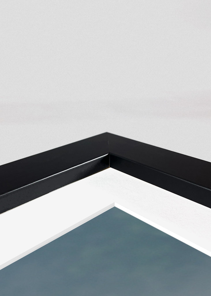 Curiosidad por el mundo