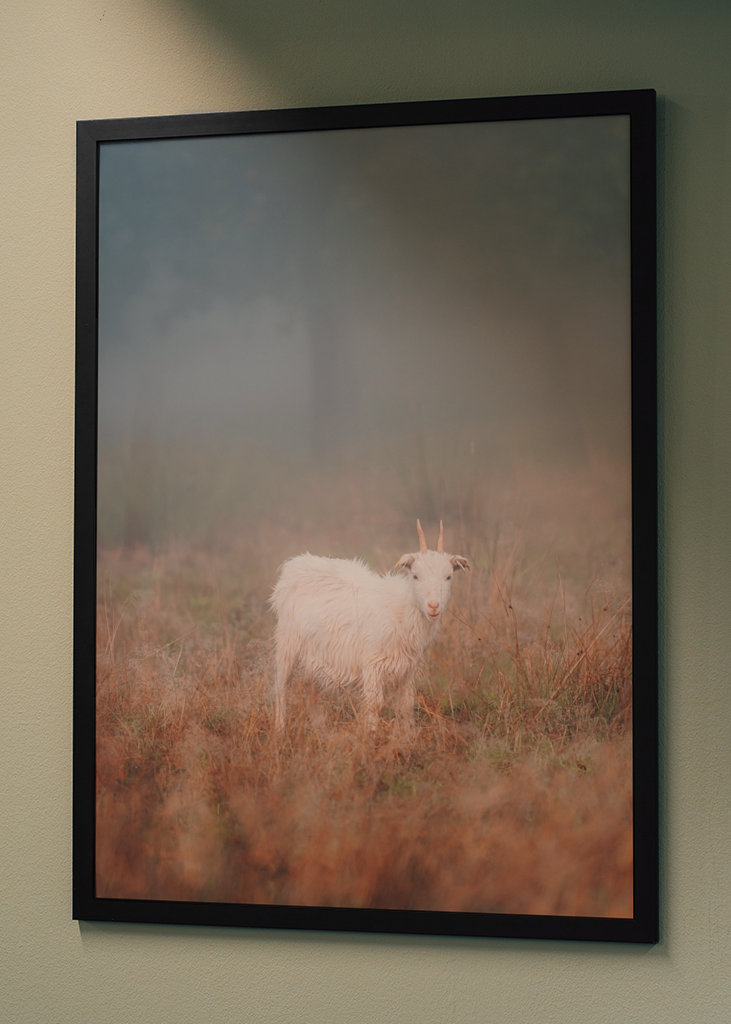 Curiosidad por el mundo