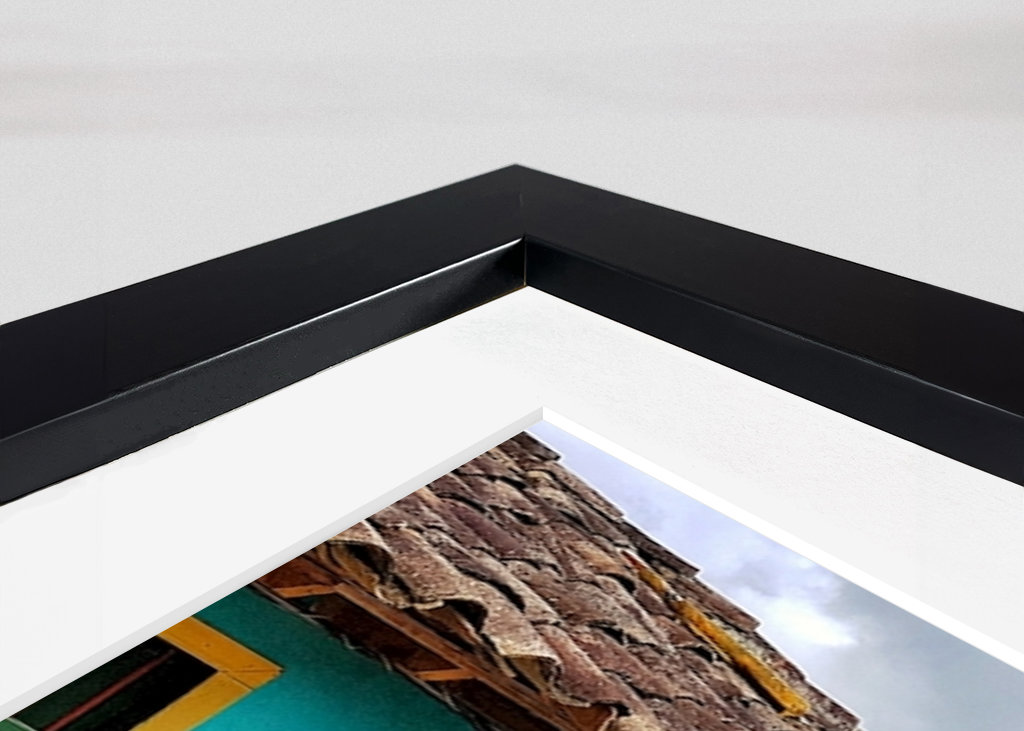 BARVA A UMĚNÍ NA ULICI