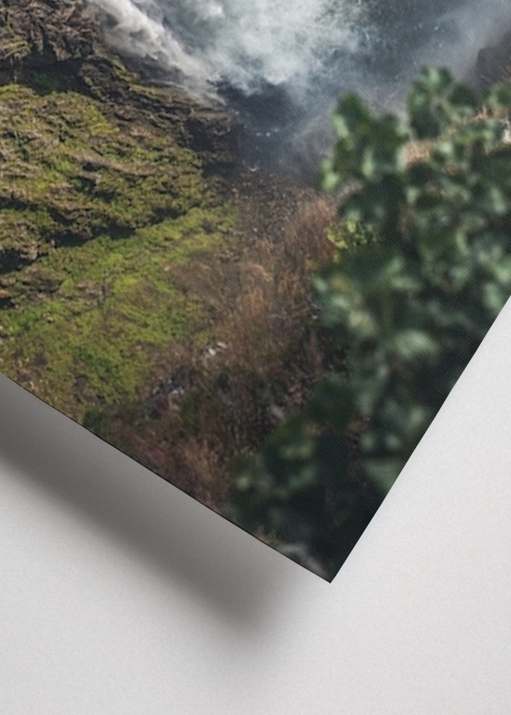 SCHÖNHEIT DER NATUR.