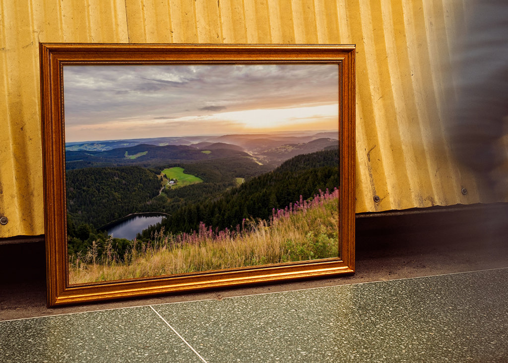 Feldberg in the Black Forest