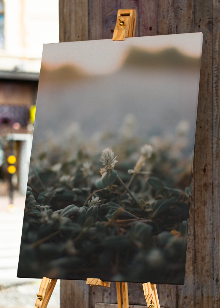 Blume am Straßenrand