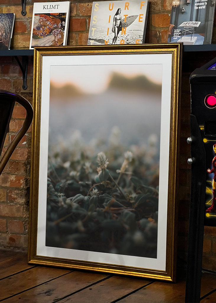 Blume am Straßenrand