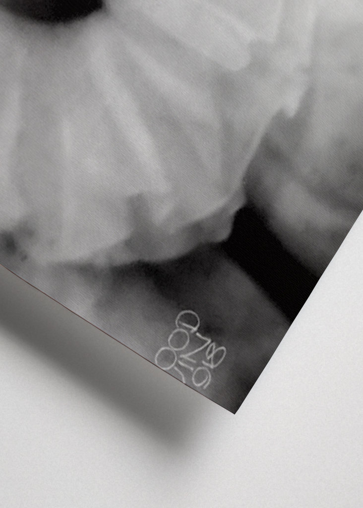 Forskellige de Wahl 2