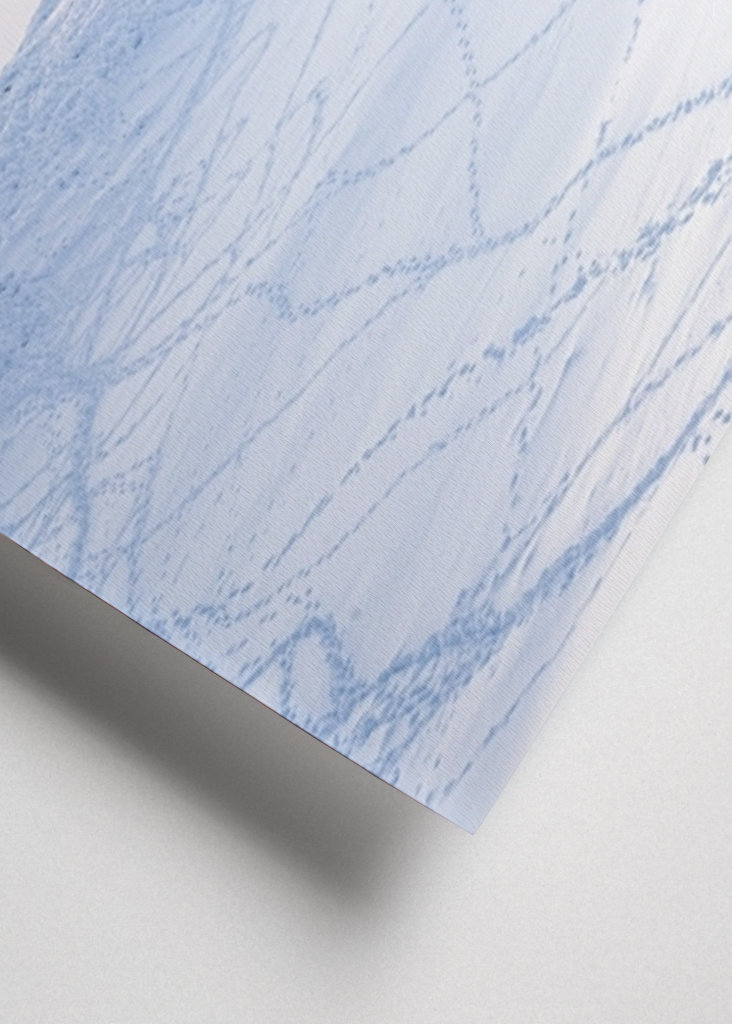 Rensdyr på de svenske fjelde i Åre