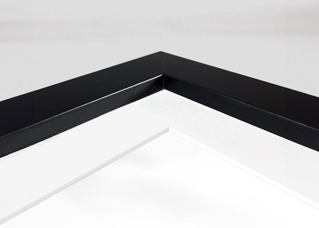 Silhouette de lion sur la crête