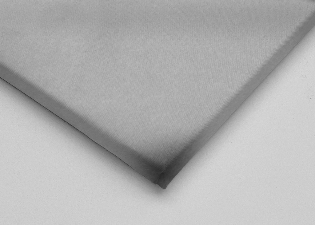 Farn schwarz und weiß