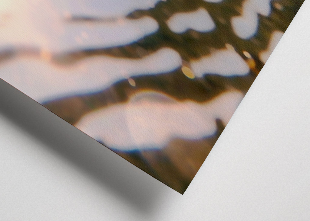 Immerse into the sea