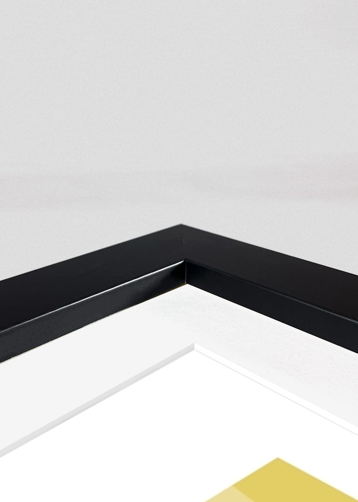 Tvillingerne (svensk)