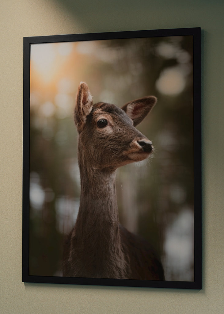 Reh Portrait im Wald