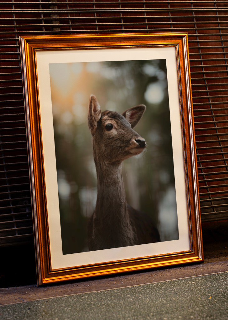 Reh Portrait im Wald