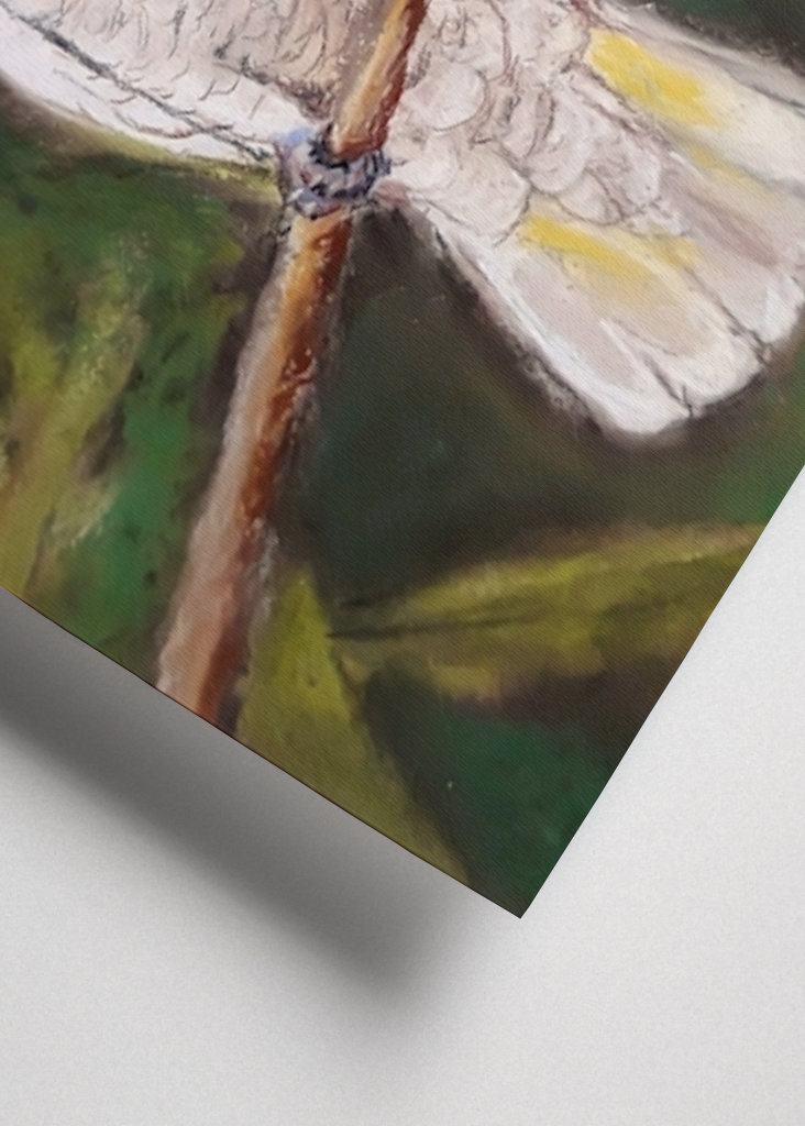 Cacatúa en el árbol