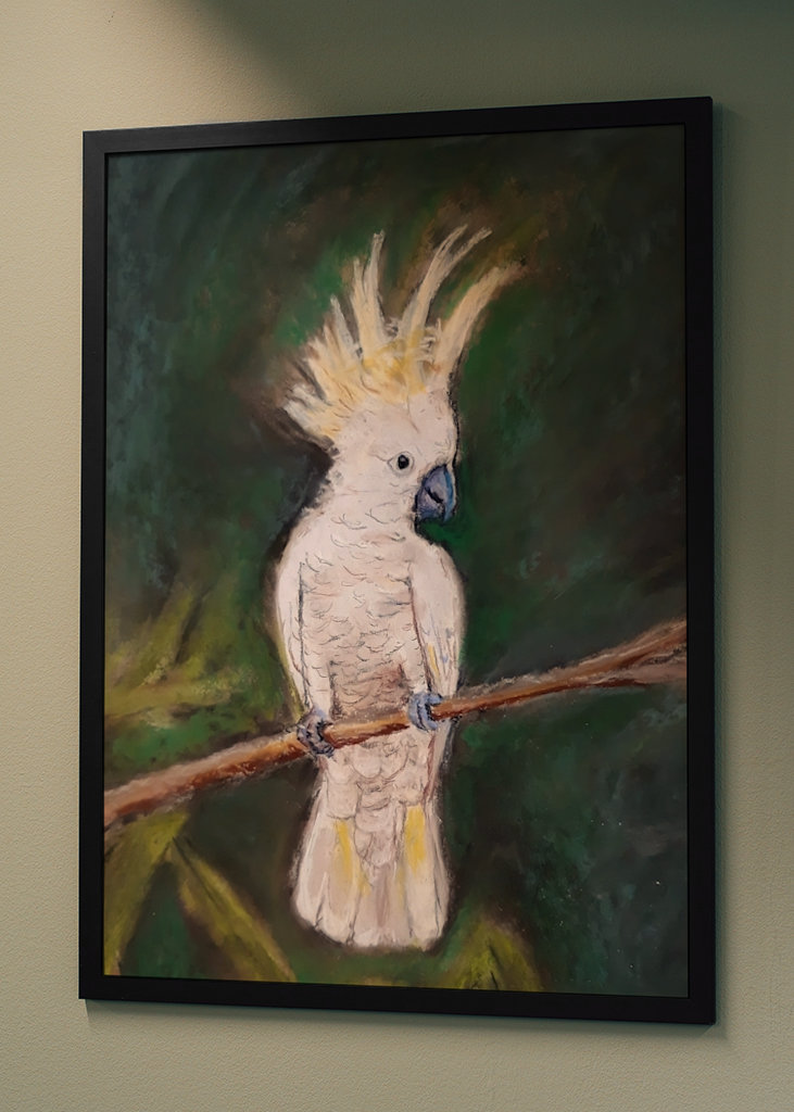 Cacatúa en el árbol