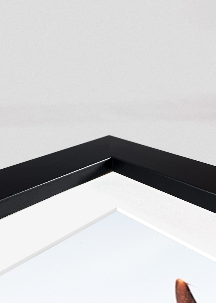 Highlander ko om sommeren