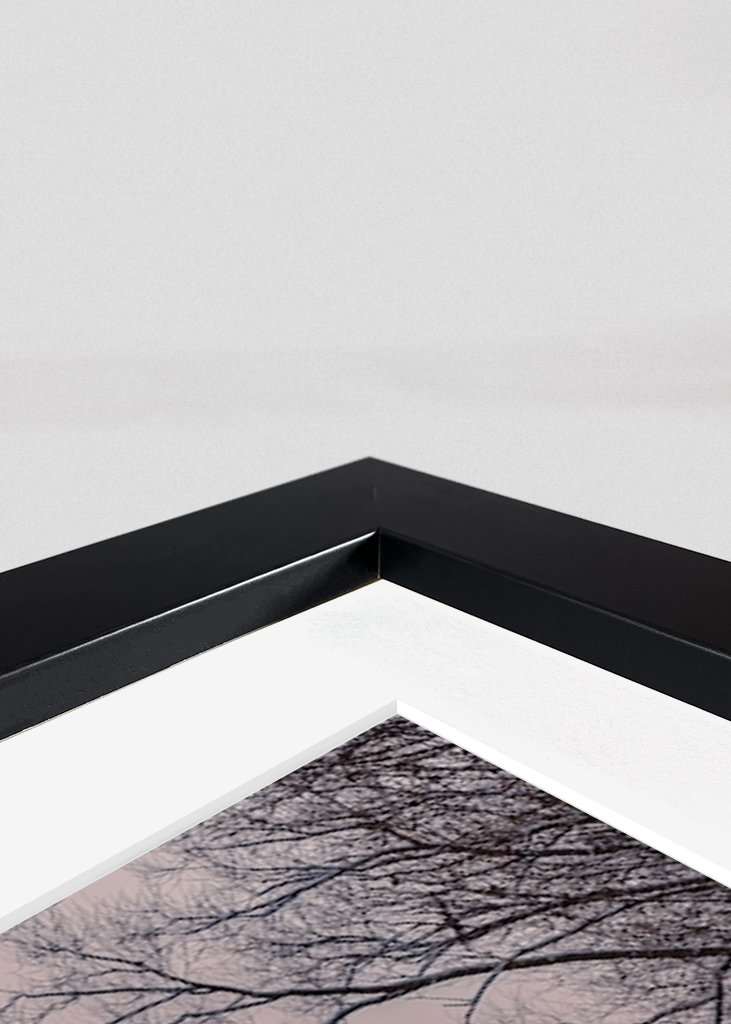 Winter morning at the river