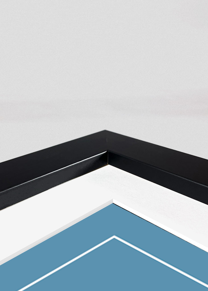 Squirtle Pokemon plakat