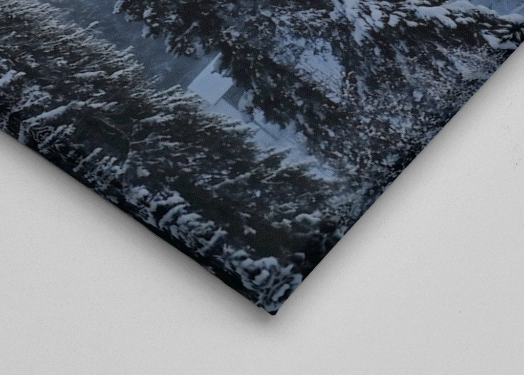 Foggy trees in sunset 