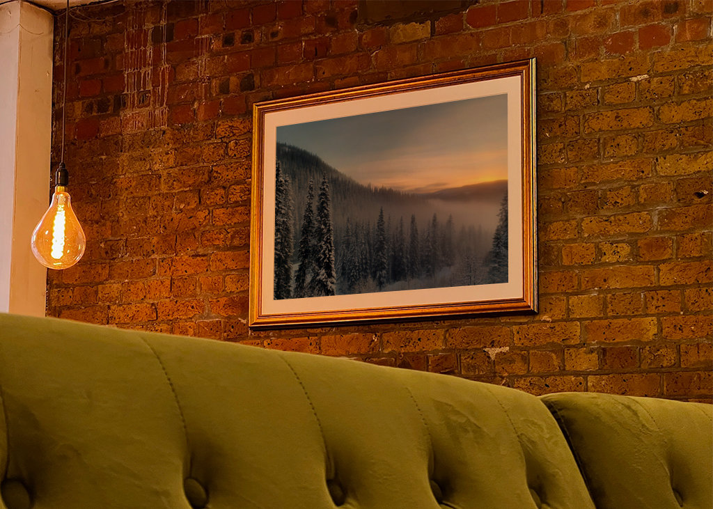 Foggy trees in sunset 