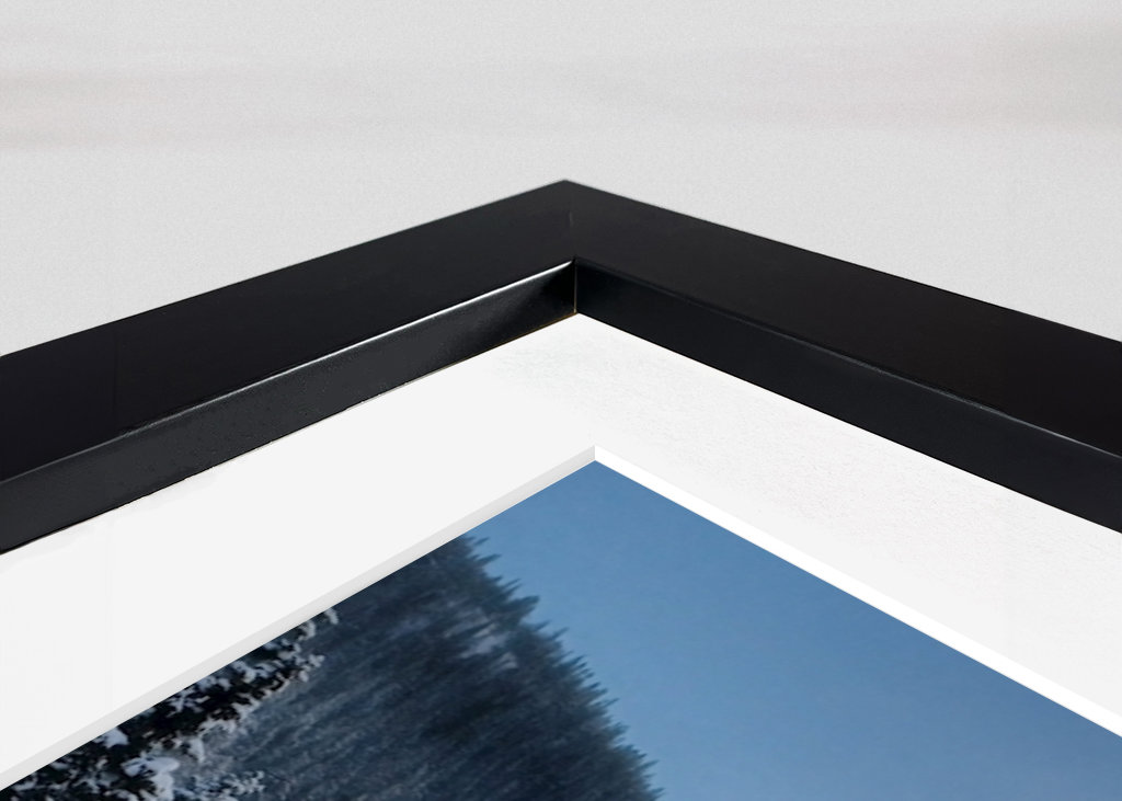 Foggy trees in sunset 