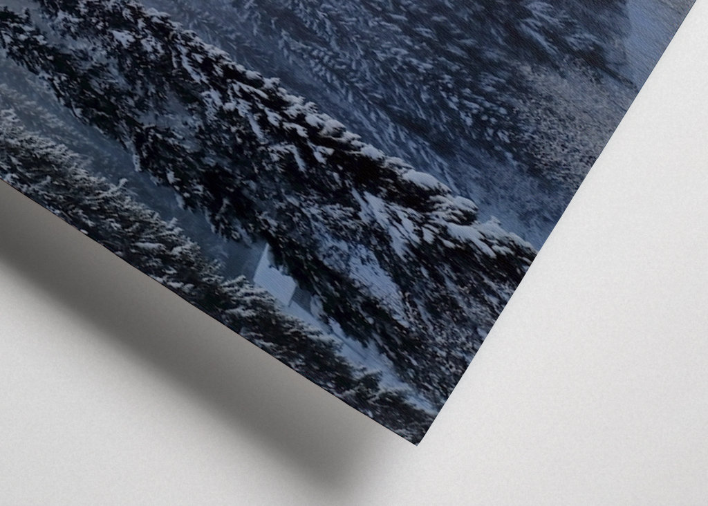 Foggy trees in sunset 