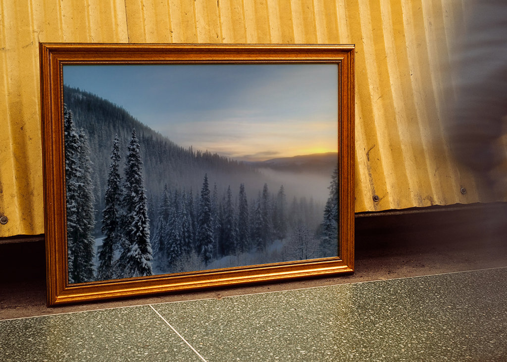 Foggy trees in sunset 