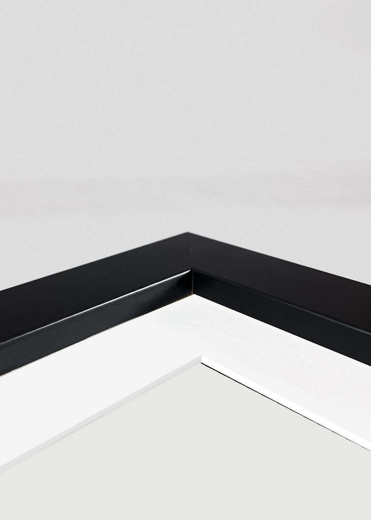 New York Art Exhibitions 