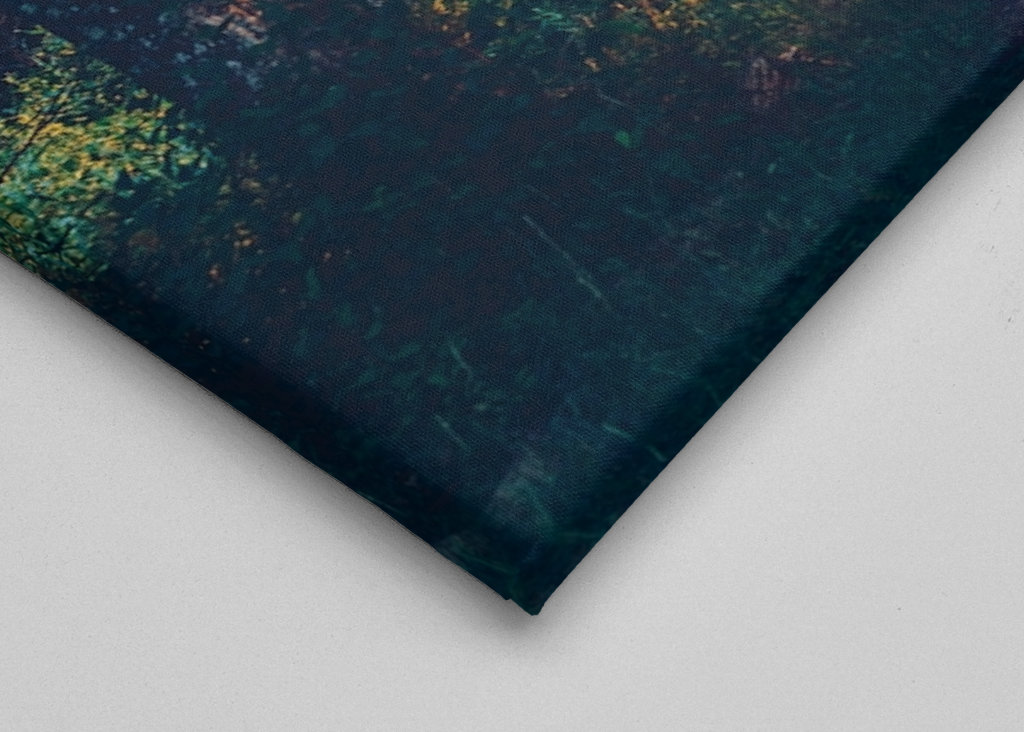 Rodnande sommarkväll