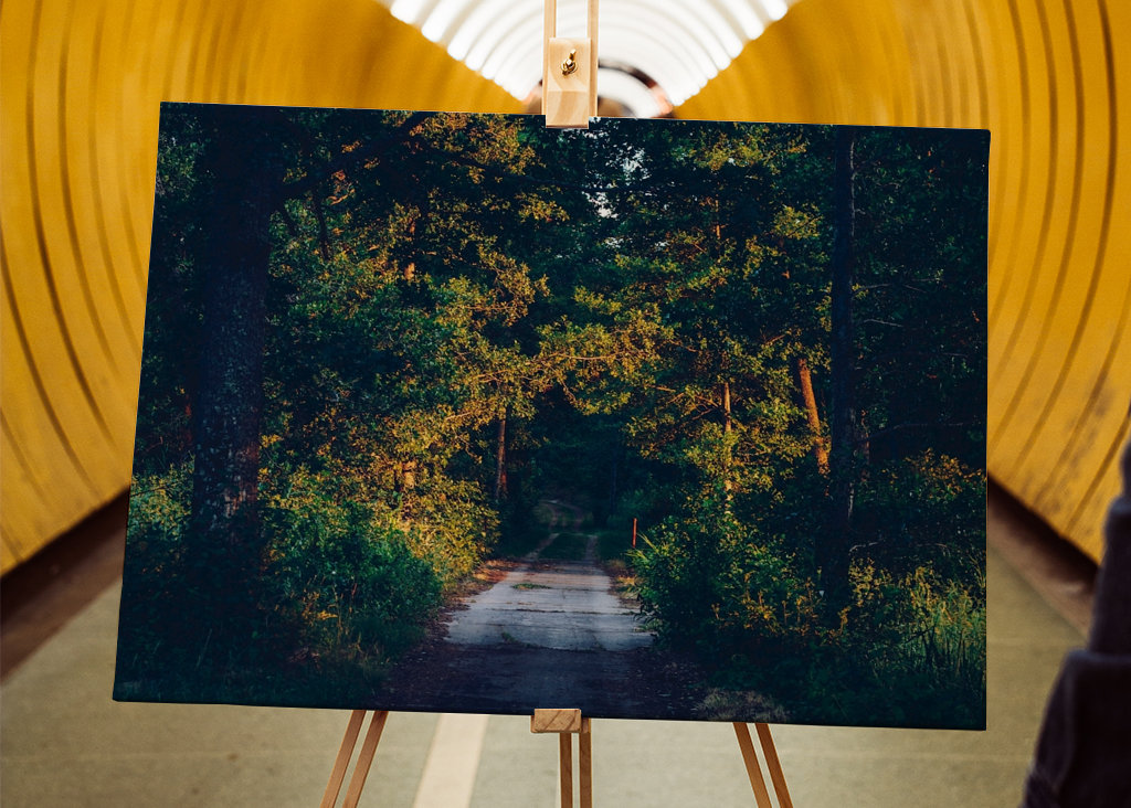 Rodnande sommarkväll