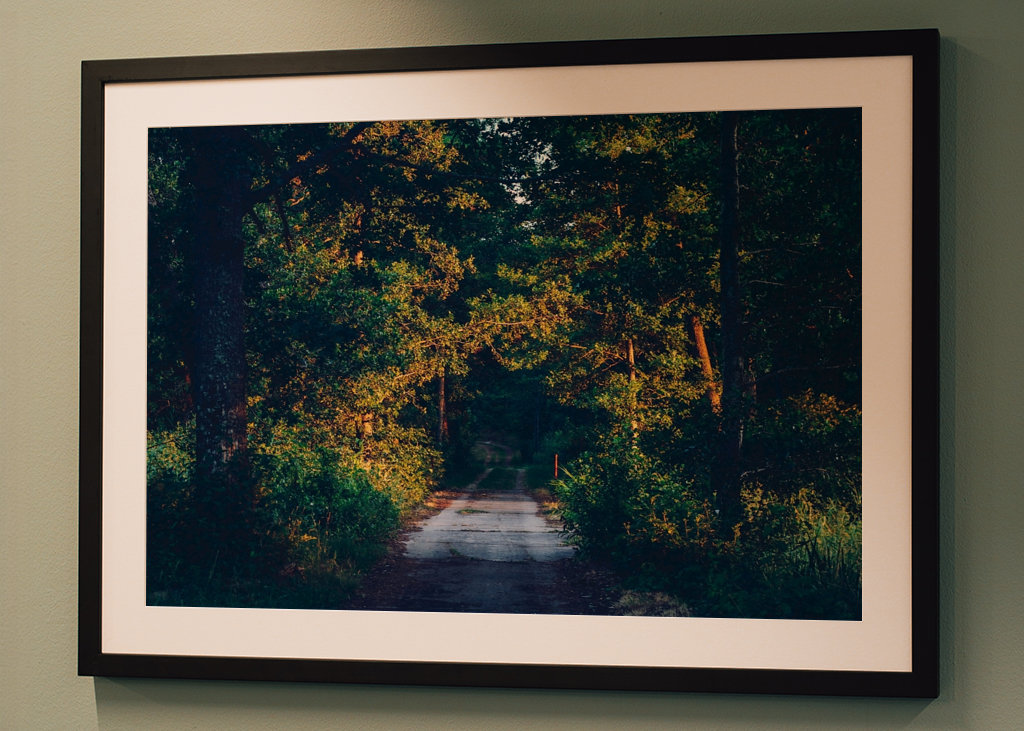 Rodnande sommarkväll