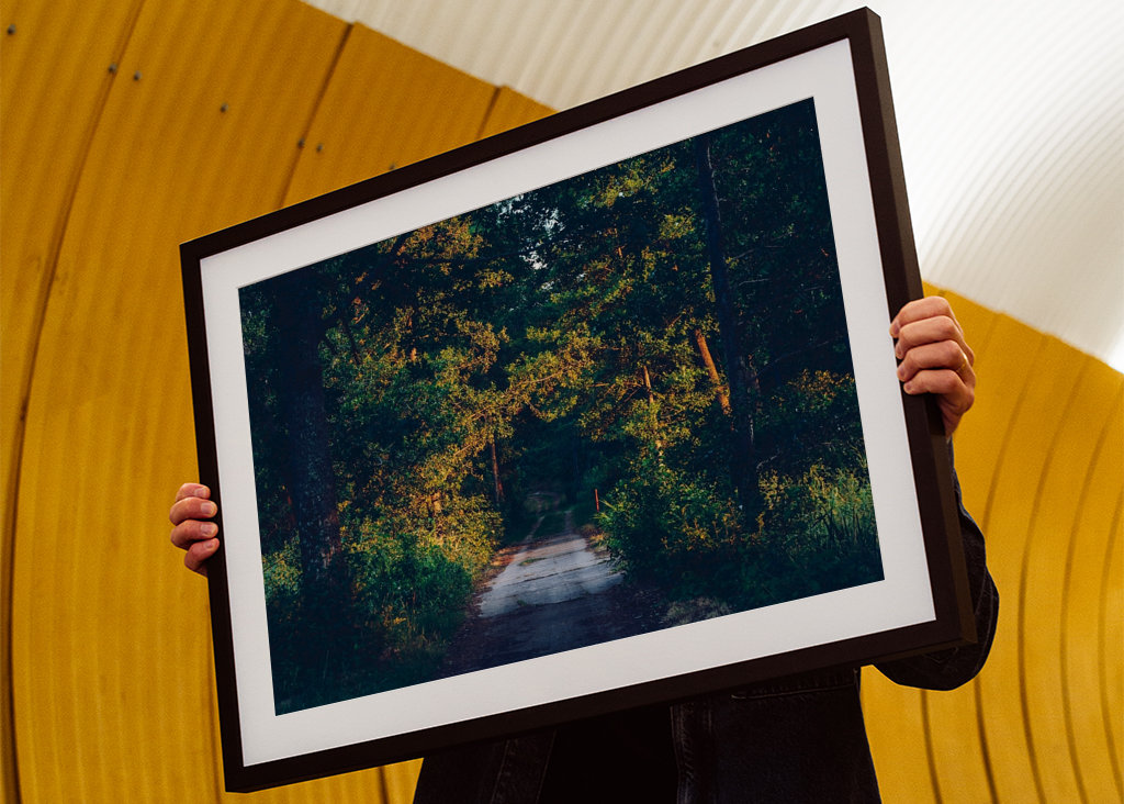 Rodnande sommarkväll