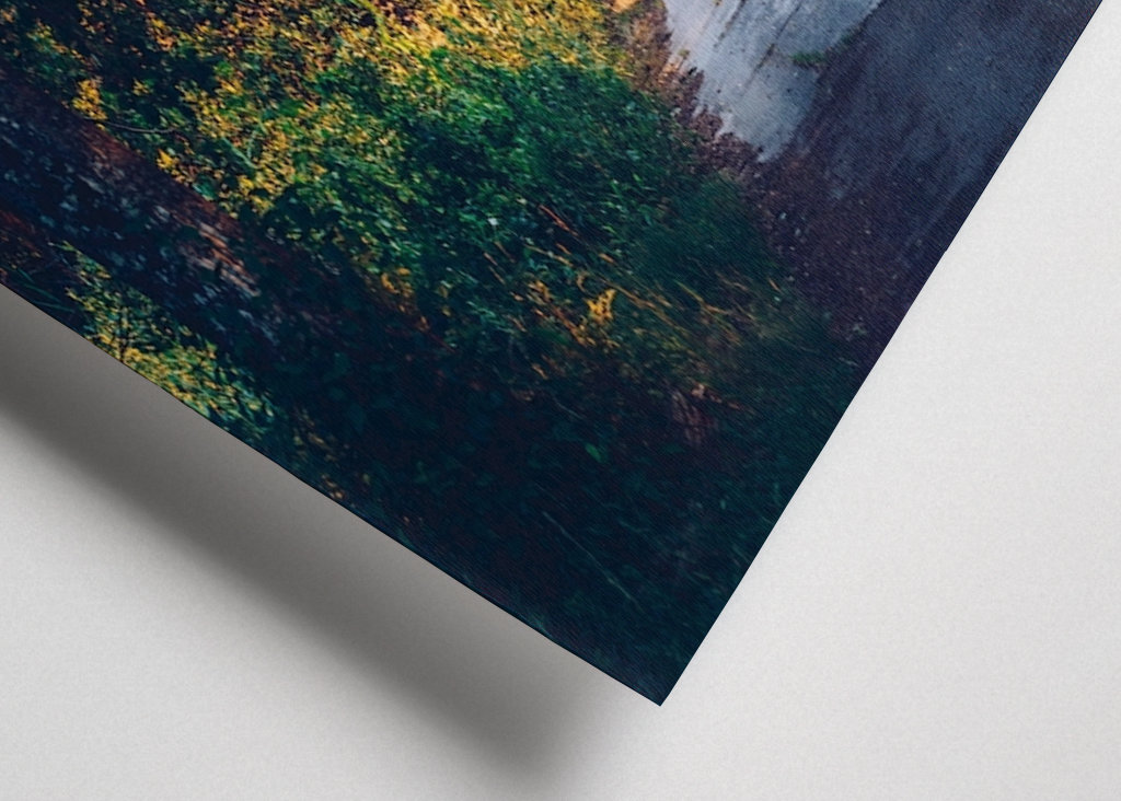 Rodnande sommarkväll