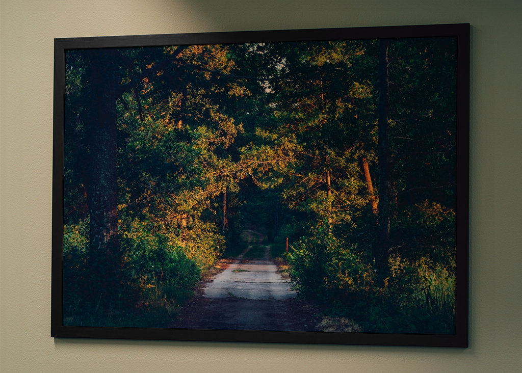 Rodnande sommarkväll