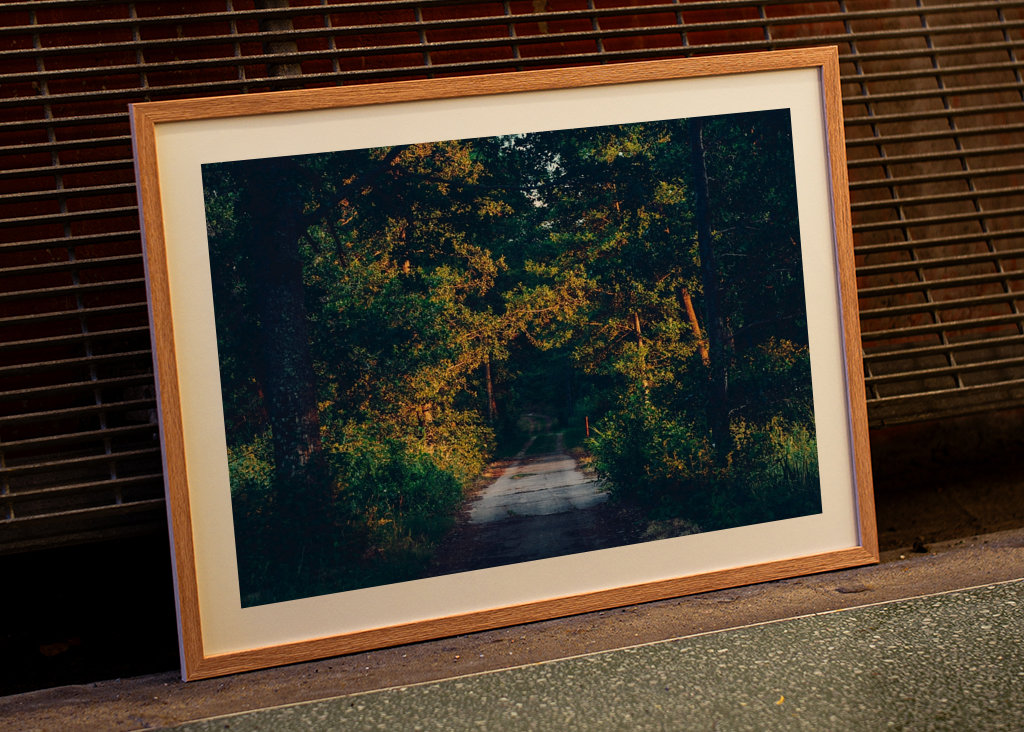 Rodnande sommarkväll