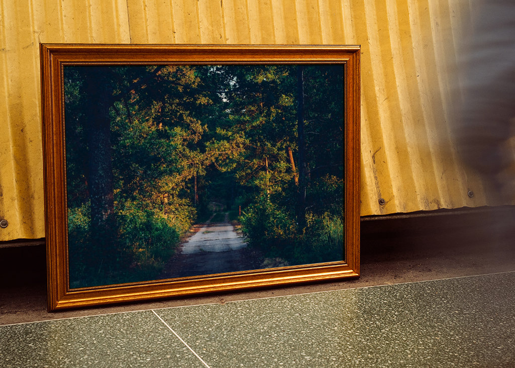 Rodnande sommarkväll