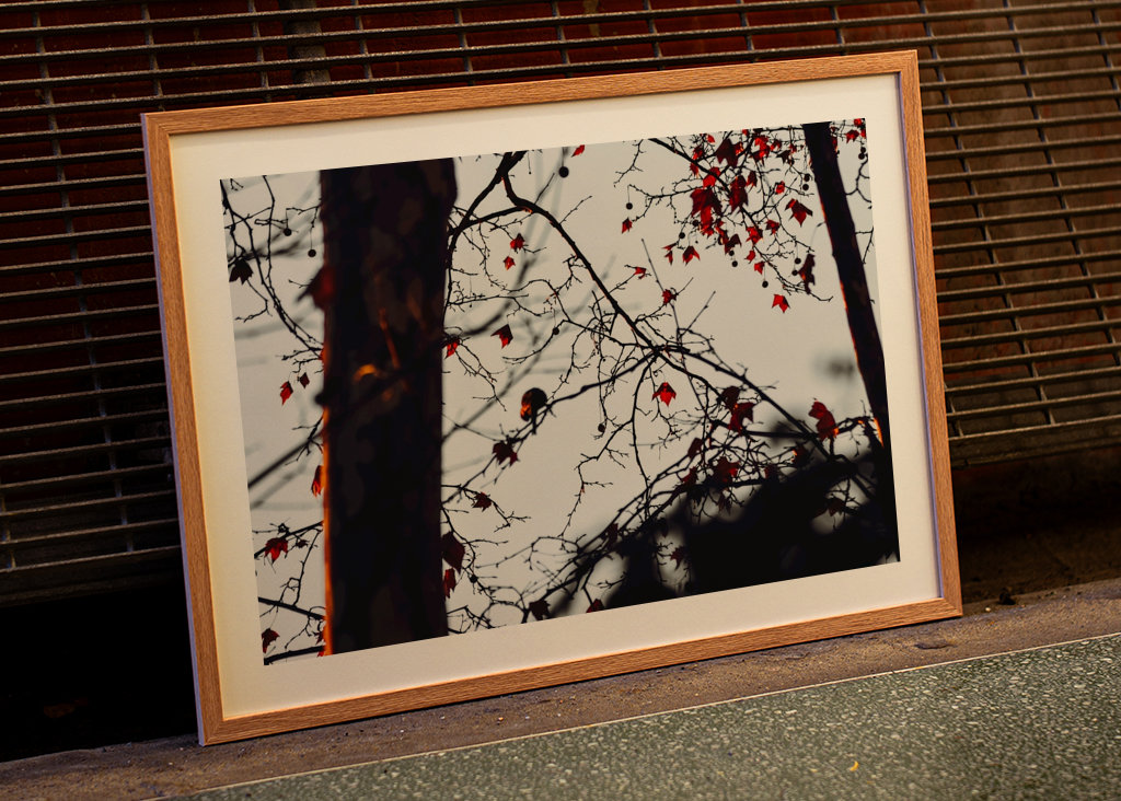 Sonnenuntergang im Herbst