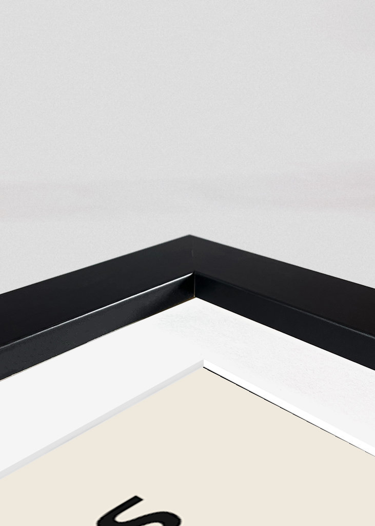 Bauhaus Airplane Poster