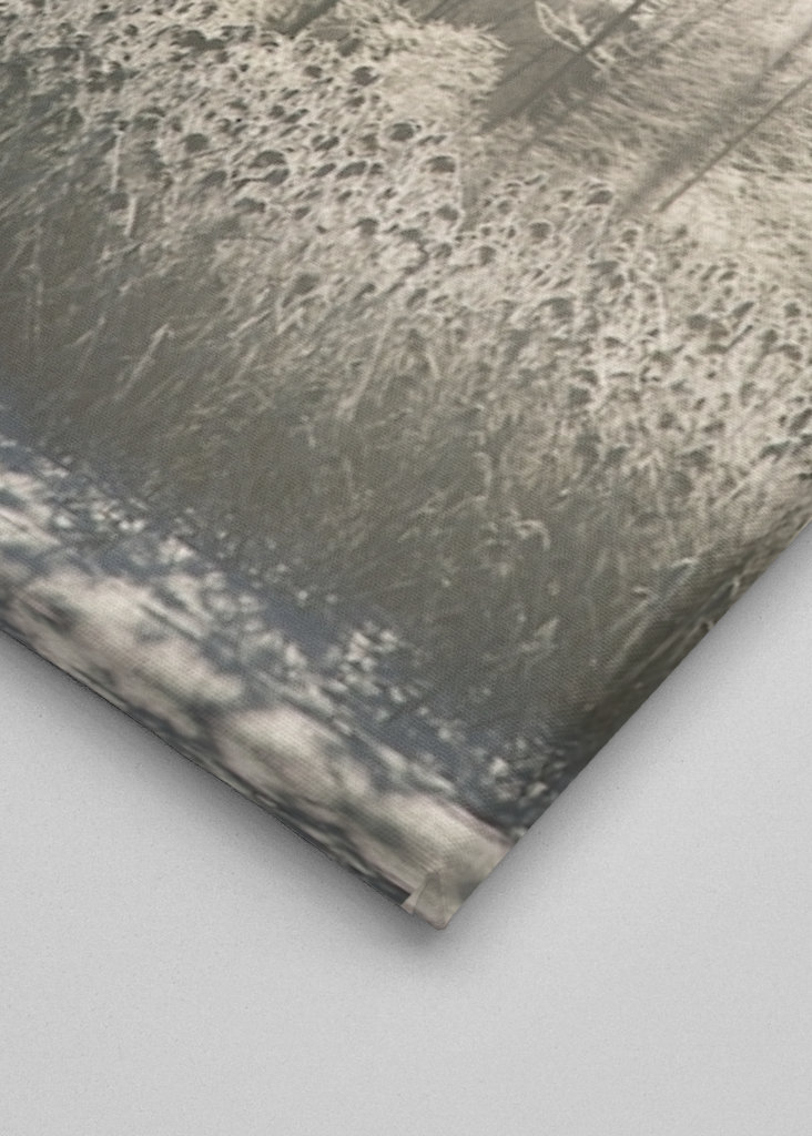 Sonniges Eis über eisbedecktem See