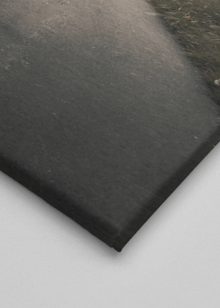 Turistika, Švajčiarsko