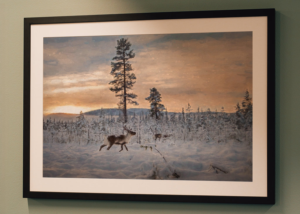 Reindeer in winter landscape 