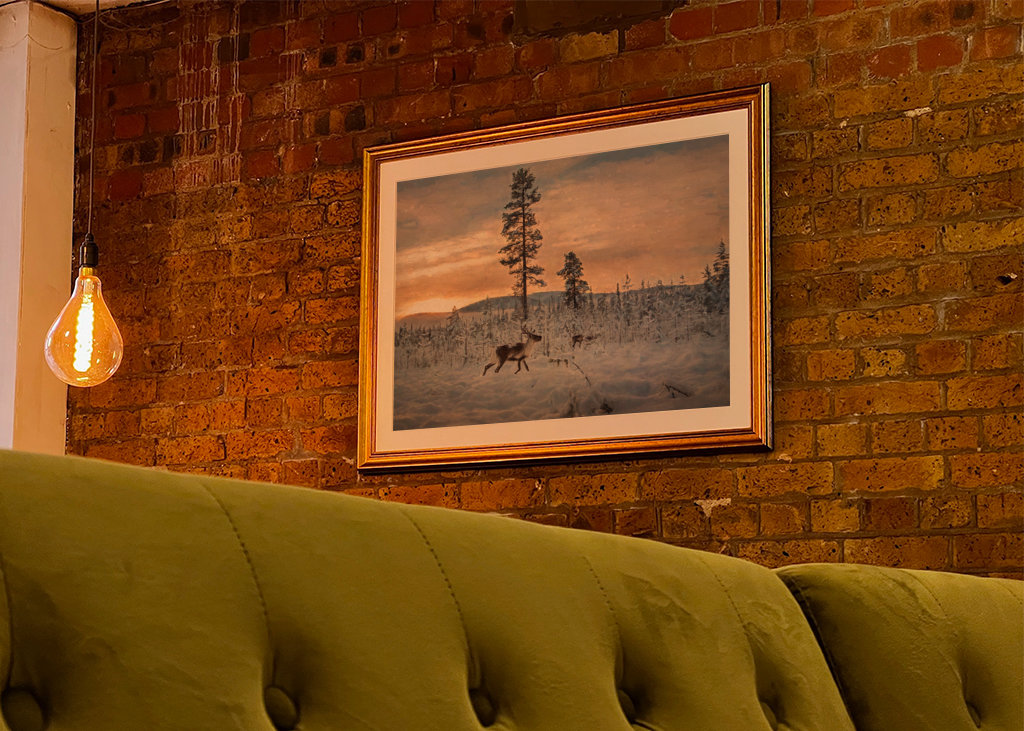 Reindeer in winter landscape 