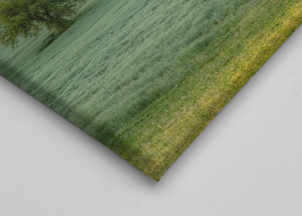 Toskánsko v časném ranním světle