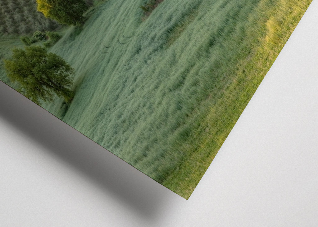 Toskánsko v časném ranním světle