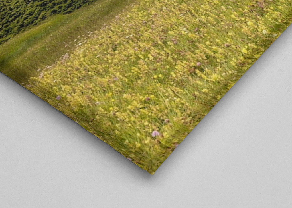 Summer on Alpe di Siusi