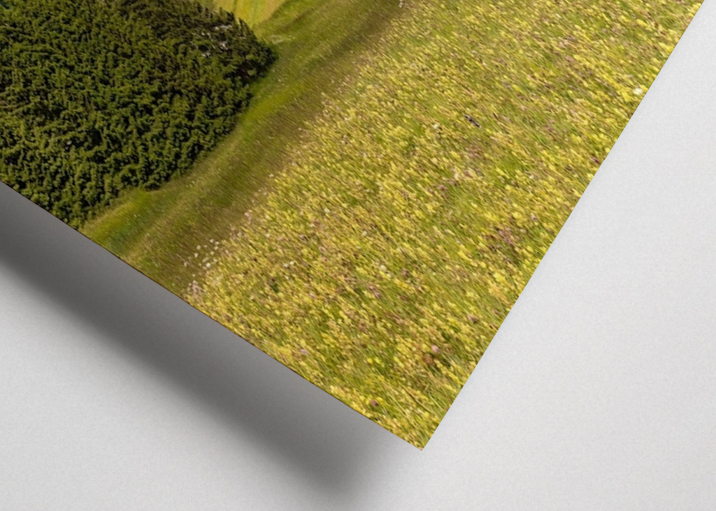 Summer on Alpe di Siusi