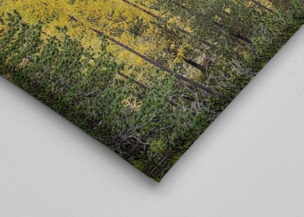 Lago Federa in the Dolomites