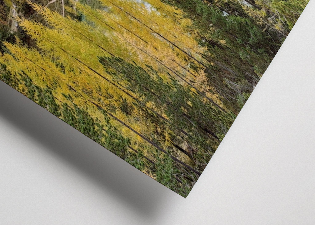 Lago Federa in the Dolomites